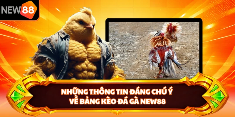 Những thông tin đáng chú về bảng kèo đá gà NEW88 